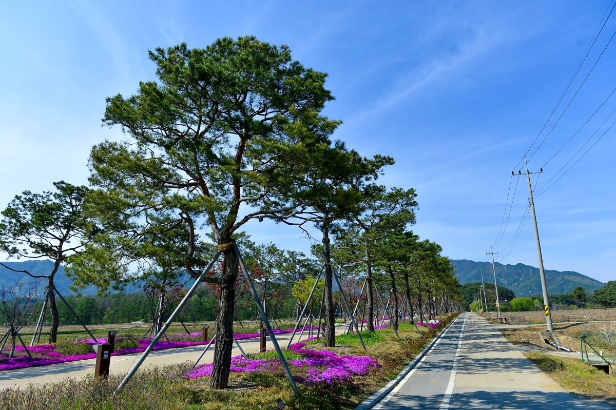 삼한의 초록길