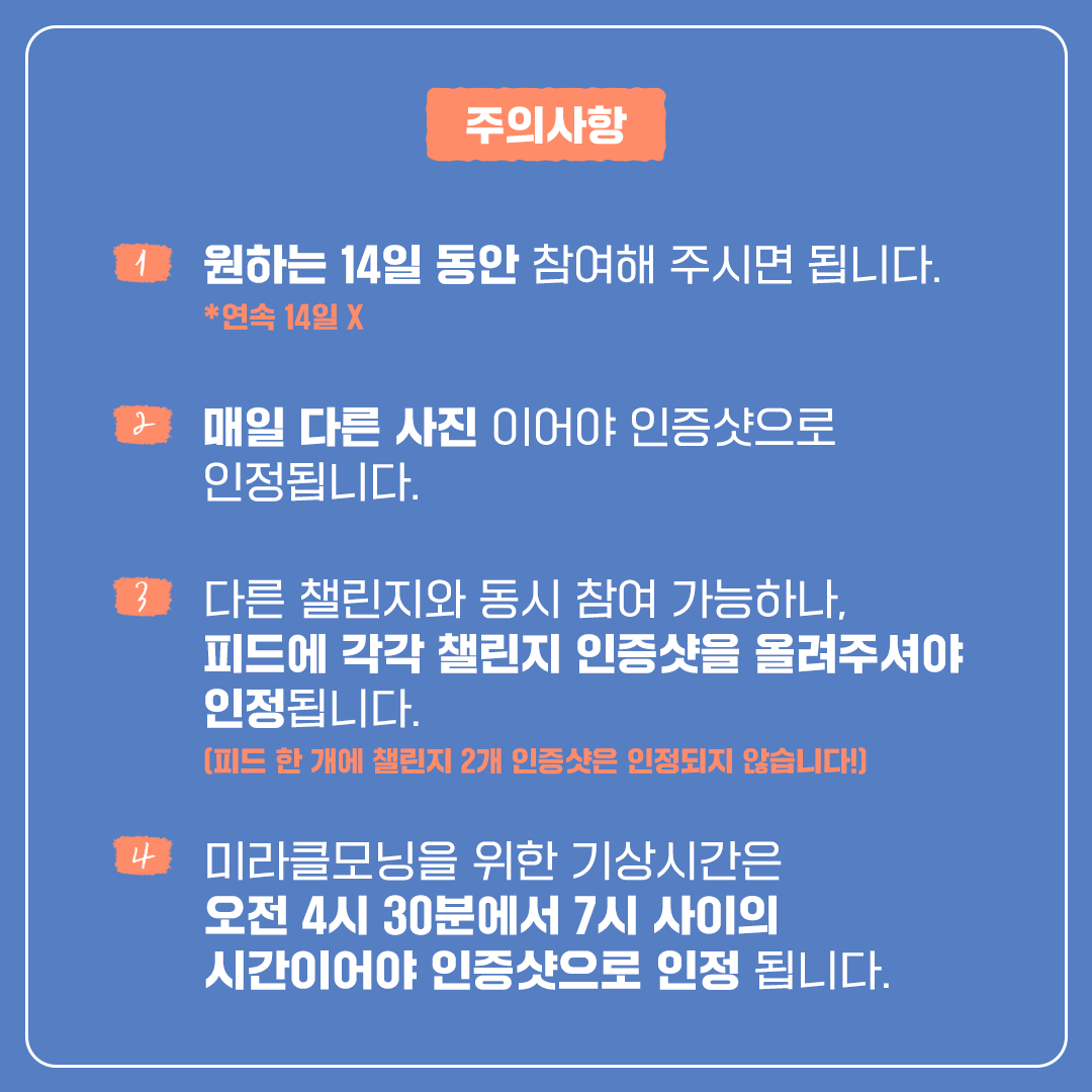 피드 08.png