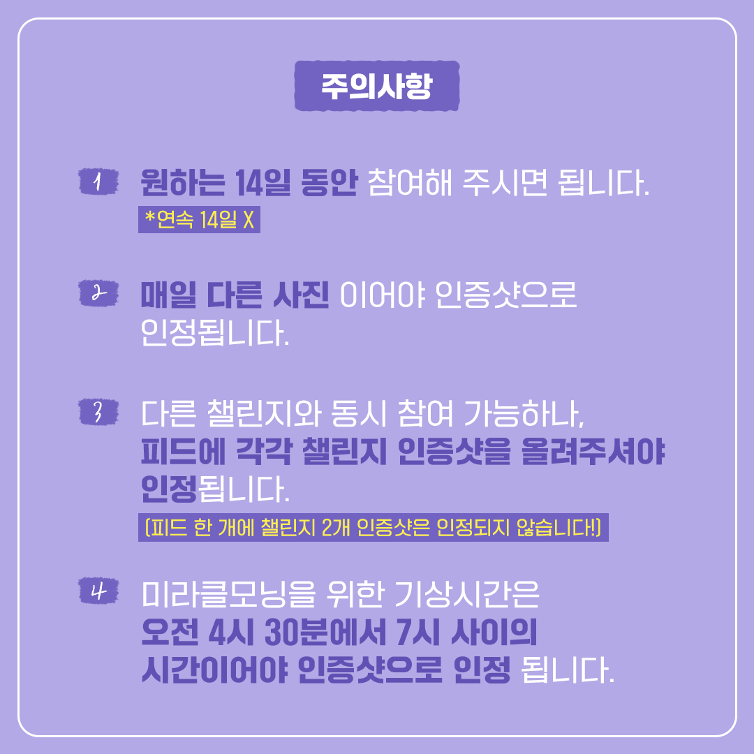 피드 07.png