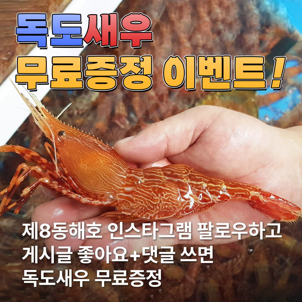 독도새우 메인이미지_팀워크.jpg